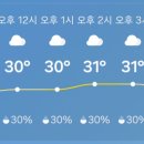 RE:952차8월5일.화요일. 삼천사 계곡 추가알림 이미지