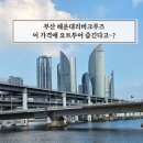 센텀시티교차로 교통섬(1) - APEC나루공원 앞 | 부산 해운대 요트투어 리버크루즈 할인 예약 방법 센텀 출발