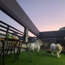 이리스 피트니스 이미지