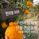 안녕소깍 서귀포쇠소깍브런치카페