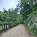 느리게 걷기 | 울산 박상진 호수 산책후기,도심속 힐링 명소(느리게 걷기....)