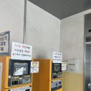 지니스안경원조치원불란서점 | 세종시안경점 구찌 명품 수입테 많은 지니스안경 조치원불란서점