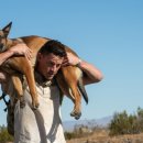 그린도그 이미지