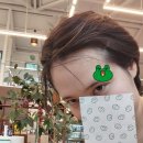 등너머농장 이미지