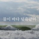 큐티 이미지