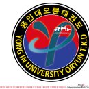 용인대 오륜태권도 이미지