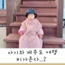 윗시 | 15개월 아기와 제주도여행 5일차(숙소후기, 비온날, 표선도서관, 하나로마트)