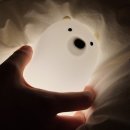 투랩