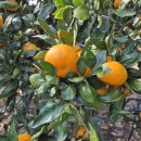 녹산2농장 이미지