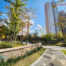 중촌초등학교(건너편) 이미지