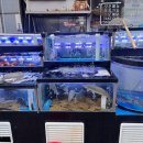 청라수산 이미지