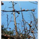 삼성산경로당 이미지