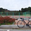 죽변운동장 이미지