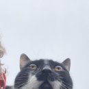 오늘도 댕댕이 이미지