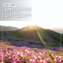 부산관광개발(주) | 합천 황매산 철쭉 축제 실시간 개화현황과 일출 후기 및 주차장 총정리