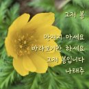 2024, 3, 29 금요일/ 그저 봄 🌼 이미지