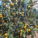 윤서농장 이미지