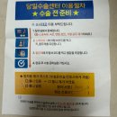 분당-45 | 분당서울대 45개월 아이 사시수술 후기(양안)