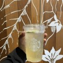 양덕동131 이미지