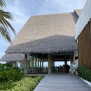 해피빌라 | 몰디브 힐튼아밍기리 원베드룸 오버워터스위트 풀빌라, 조식뷔페, 해피아워, 스노클링 후기