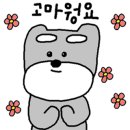 절세미견 이미지