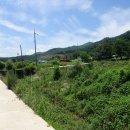 자등 2리 이미지