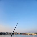 장사항 낚시점 이미지