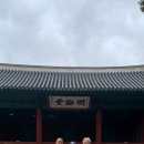 사우로 Daum카페