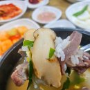 경산 하양 맛집 삼계탕 송이돼지국밥 식사 후기