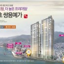 산호동117 이미지