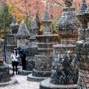[더 한장] 한국의 앙코르와트... 돌탑에 담긴 희망과 소원 이미지