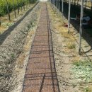 백선농장 이미지