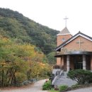 고개랑산채랑 | 강원도 양양 오색약수터, 오색민박촌, 산채음식점 거리 산책 후기