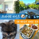 원적로381번길 | 이천 애견동반 바베큐, 우리끼리만 즐긴 프라이빗 아지트