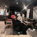라잌바잌 이미지