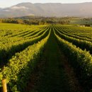 희망드림 행정사사무소 이미지