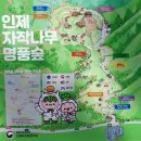 자작나무화원