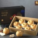 농수산시장 농협 옆 | 제주시 농협 하나로마트 노형점/ 나주 봉황,금천 미니단호박/ 천년이음 나주배