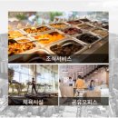 용인대 정의태권도 이미지