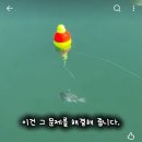 신박한 루어낚시 채비 이미지