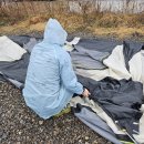 무녀도오토캠핑장 이미지