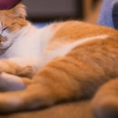 세바환경 이미지