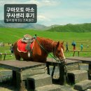 대자연이주는것 | 구마모토 쿠사센리 후기｜사람을 작게 만드는 아소의 대자연, 직접 다녀온 솔직 후기