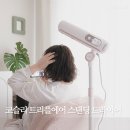 솜이 펫살롱 | 코슬리 스탠딩 드라이어 편하게 쉬면서 머리 말리기
