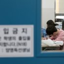 공가김밥