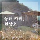 갤러리 스튜디오 현상소 | 동해 망상해수욕장 근처 분위기 좋은 넓은 카페 추천, 현상소(feat.넓은 정원)