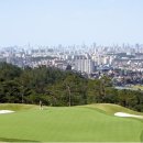 캐슬렉스CC 이미지