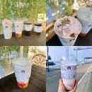 안간천 | 영종도카페 구읍뱃터 밀크티 맛집 십이지차 양쯔간루 망고자몽사고 피치크림 블라썸 후기