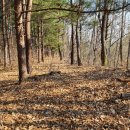 낭성산성琅城山城 이미지