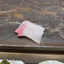 하에르화랑 | [춘천/오마카세] ‘하에르화랑’ 입문 추천!! (런치 후기)